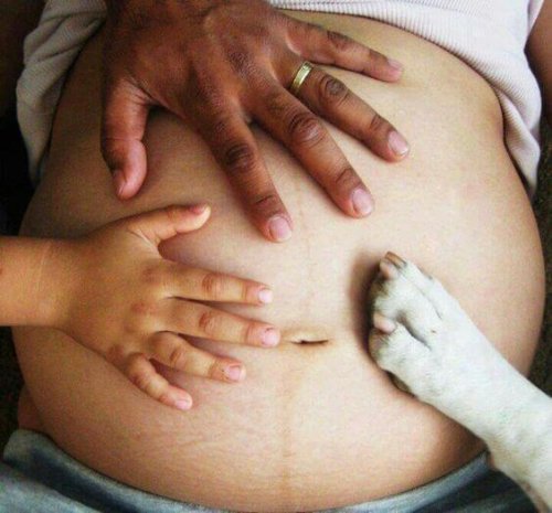 Korzyści z posiadania psa w czasie ciąży