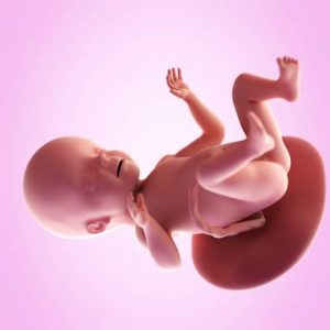 26 tydzień ciąży. Zmiany zachodzące w organizmie kobiety i dziecka.
