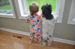Dziecko i pies stoją w oknie