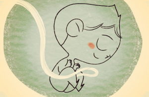 Rozwój dziecka w łonie matki - miesiąc po miesiącu