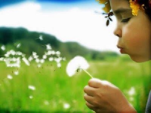 dziecko z dmuchawcem