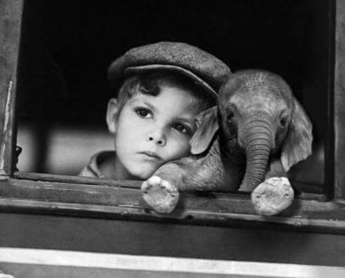 chłopiec z małym słoniątkiem