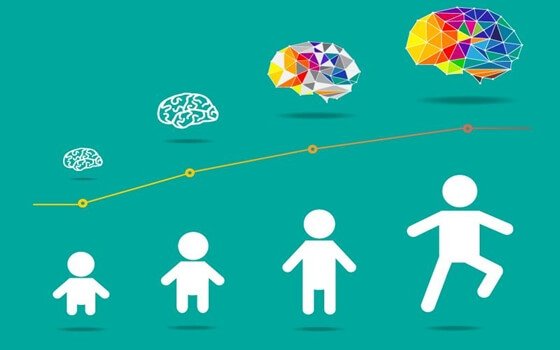 Grafika przedstawiająca etapy rozwoju mózgu dziecka