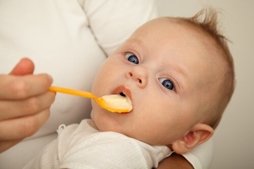 Kiedy i jak wprowadzić pokarmy stałe do diety niemowlęcia