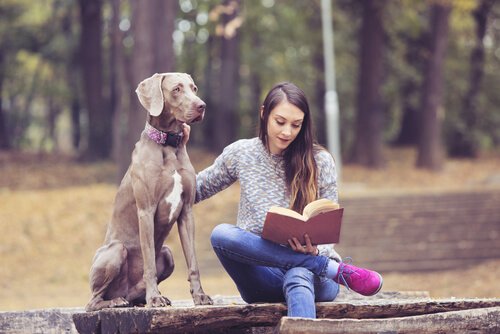 Książki dla młodzieży - dziewczyna czyta z psem w parku