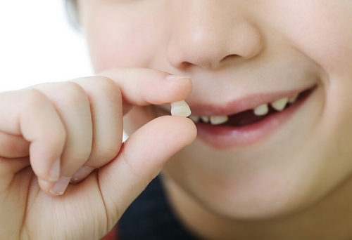 Zęby mleczne - w jakiej kolejności wypadają? Kiedy pojawiają się zęby stałe?