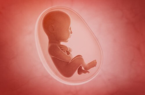 Dziecko w łonie mamy - brak płynu owodniowego w ciąży