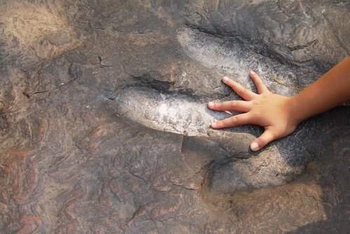 Dziecięca dłoń w odcisku łapy dinozaura