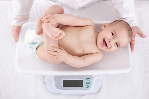 Przyrost wagi niemowlaka w pierwszym roku życia