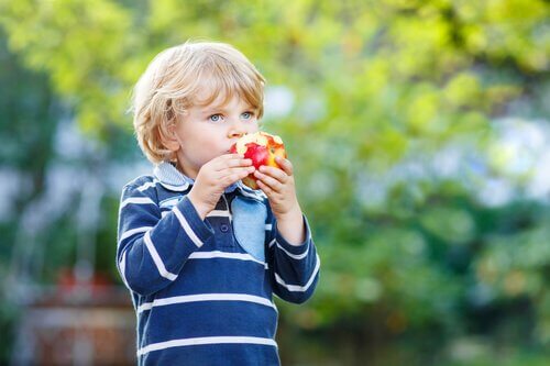 Chłopiec w parku jedzący jabłko - zdrowa dieta dla dziecka