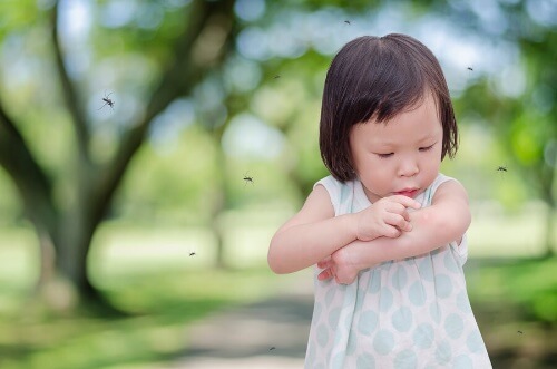 Częste ugryzienia komarów: jak pomóc dziecku?