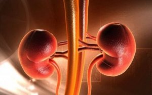 Rak nerki u dzieci: objawy i możliwe przyczyny choroby