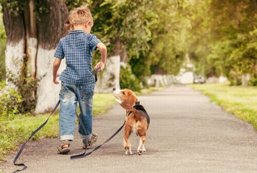 Chłopiec na spacerze z psem w parku