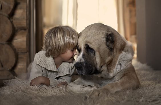 Chłopiec przytulający się do psa