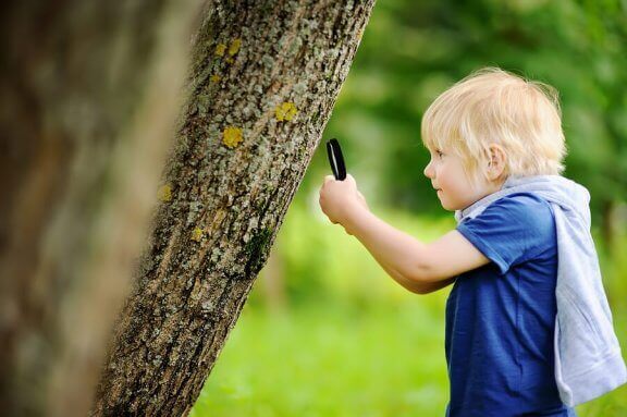 Chłopiec oglądający drzewo przez lupę - edukacja outdoor