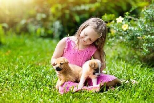 Dziewczynka z psami