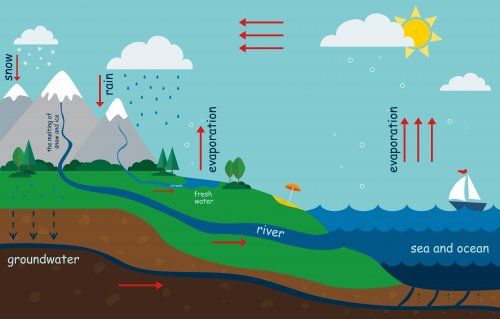 Jak wyjaśnić dzieciom cykl obiegu wody w przyrodzie?