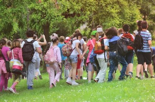 Wycieczka szkolna