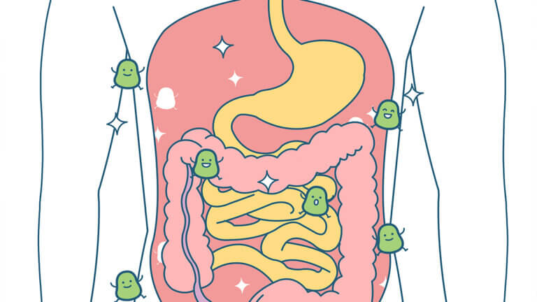 Przeszczep fekalny: co to i kiedy się go wykonuje?