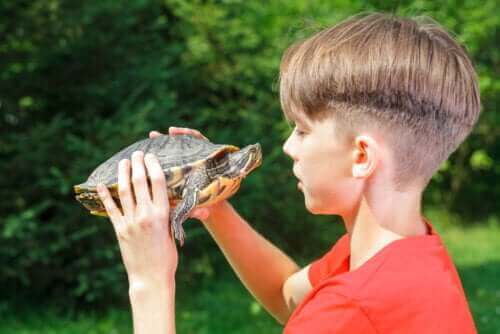 "Metoda na żółwia": wpływ na poczucie własnej wartości