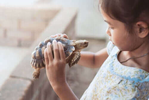Dziecko z żółwiem