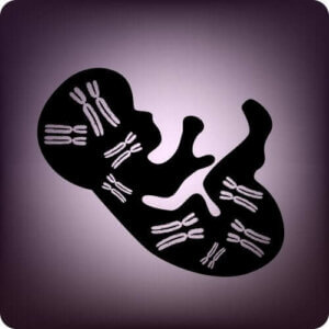 Prenatalne testy genetyczne: charakterystyka i zalety