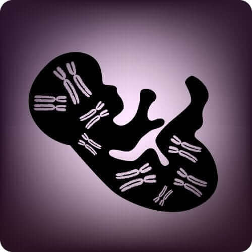 Prenatalne testy genetyczne: charakterystyka i zalety