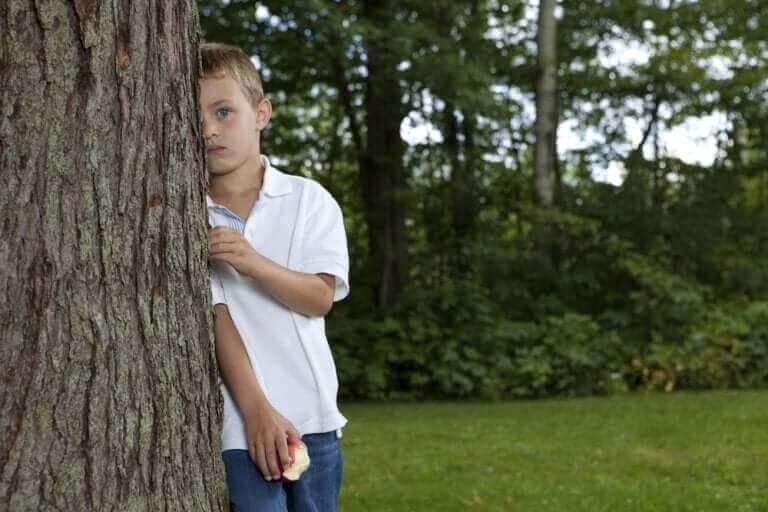 Chłopiec wyglądający zza drzewa
