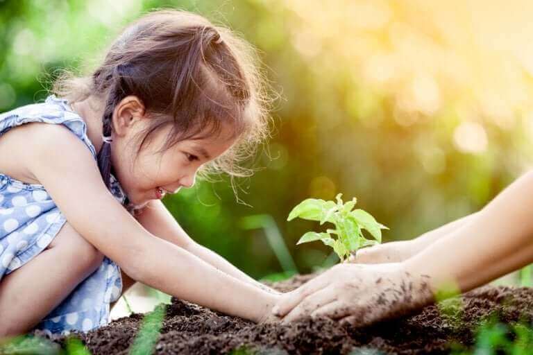 Dziewczynka sadząca roślinę - nauczanie empiryczne