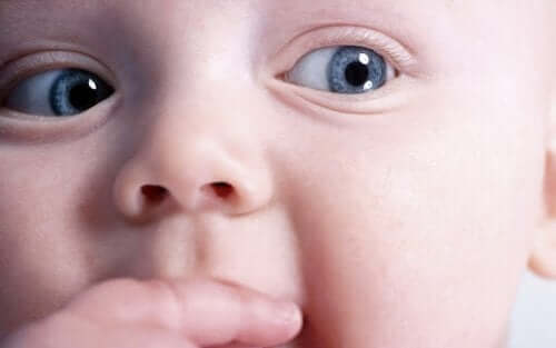 Produkty dla niemowląt polecane przez matki - poznaj 9 propozycji
