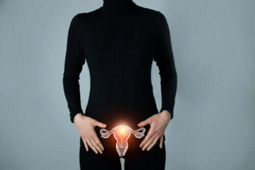 Dowiedz się więcej na temat tego, czym są jajowody i jaką pełnią funkcję